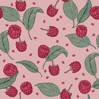 Vintage seamless pattern with ripe raspberry on pink background vector