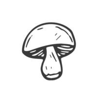 Doodle forest mushroom. Hand drawn sketch line art, vector illustration isolated on white background, gray line art, nature sketch