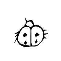 Ladybug hand drawn vector doodle illustration. Cartoon ladybug. Isolated on white background. Hand drawn simple element