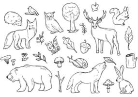 bosque animales bosque garabatear íconos bosquejo. mano dibujado diseño vector