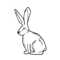 Doodle rabbit sketch. ine art hare animal. Forest concept vector