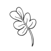 Minimalist flower line art. Vector herb
