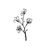 Vector set of doodle hand-drawn flowers. Collection of modern line illustrations.