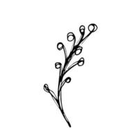 Vector set of doodle hand-drawn flowers. Collection of modern line illustrations.