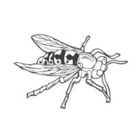 insects, wasps in the style of doodles. Vector. Line art bee hand-drawn vector