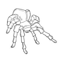 cerca arriba macro Disparo de un araña en lineal estilo vector ilustración. continuo uno línea dibujo de araña silueta aislado en blanco antecedentes. araña para fondo, logo o tatuaje.