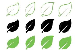 Leaves In Line Glyph And Flat Collection vector