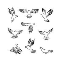 paloma paz ilustración símbolo colección vector