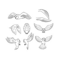 búho poses ilustración símbolo colección vector