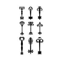 Key Illustration Symbol Collection vector