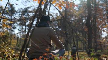 branché homme avec une barbe est assis dans le forêt video