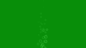 creciente submarino burbujas aislado en verde pantalla. movimiento gráficos material. video