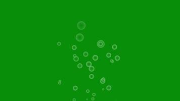 creciente submarino burbujas aislado en verde pantalla. movimiento gráficos material. video