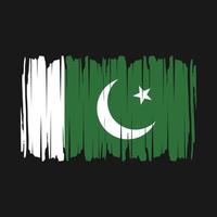 ilustración de vector de pincel de bandera de pakistán