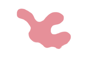 rose main dessin solide Couleur abstrait forme libre présentation décoration main peint vague clapotis minimal forme élément png