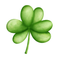 clover or sharock watercolor, nordic style, Saint Patrick day Element png