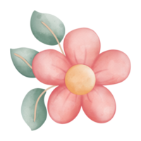 vattenfärg vår blomma, påsk element, påsk och vår begrepp png