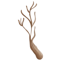 Aquarell Hand gezeichnet von trocken Baum Geäst png