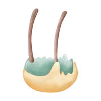 waterverf nest, konijn Pasen jacht ei, Pasen elementen png