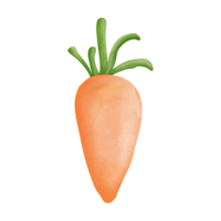 Watercolor Cute Easter Carrot, Easter Elements png
