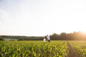 Cute boy in a cornfield with dad launching a plane photo