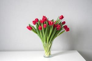 Red kung fu tulips stand in a glass vase on the kitchen table. Bouquet of flowers photo