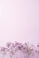 pequeño púrpura y blanco Gypsophila flores estar en un florero en un lila antecedentes foto