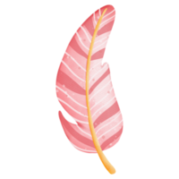 Watercolor Feather Illustration, Easter Elements png