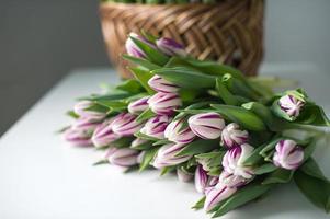 a rayas púrpura flamenco bandera tulipanes mentira en el mesa cerca el cesta. ramo de flores de flores foto