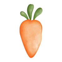 Watercolor Cute Easter Carrot, Easter Elements png