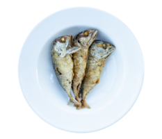 Three fried mackerel fish on white plate png