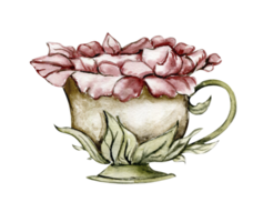 Watercolor illustration with flower in cup. Hand drawn element. Forest cute mushroom isolated on white. Cute hand painted fairy tale illustration for greeting cards, prints, post cards and souvenirs. png