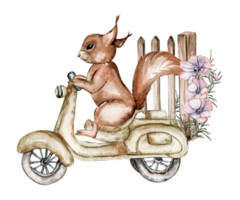 vattenfärg illustration av en ekorre på rostig motorcykel. ett gammal rostig emalj element. ritad för hand i vattenfärg på en vit bakgrund. perfekt för bröllop inbjudan, hälsningar kort. png