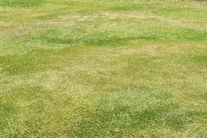 verde césped antecedentes para sentado en el jardín foto