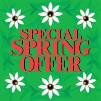 especial primavera oferta tarjeta ,hermoso vistoso vector