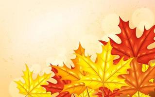 Autumn background with leaves, Vector Illustration