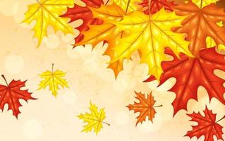 Autumn background with leaves, Vector Illustration