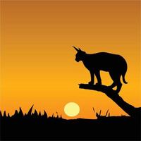 Wild cat on tree bark and evening silhouette vector