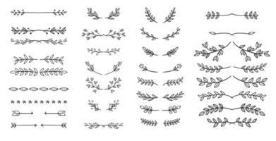 collection of hand drawn floral elements. vector