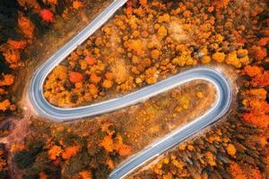 aéreo ver de devanado vacío la carretera en vistoso otoño bosque