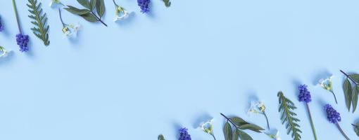 Banner made from flowers and leaves flat lay on colored background. Spring banner with copy spacet photo