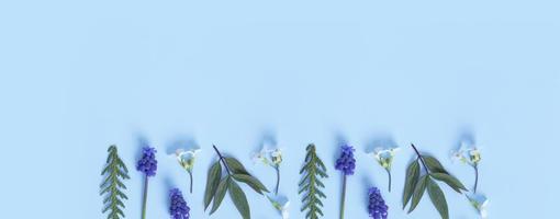 Banner made from flowers and leaves flat lay on colored background. Spring banner with copy spacet photo