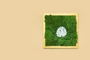 White wooden tropical monstera leaf on green moss background in golden frame photo