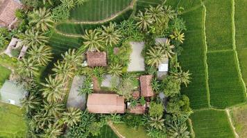 Drone poto of a house in the middle of rice or a forest surrounded with several fish ponds and lots of trees and plants photo