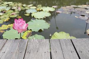 wooden table on the corridor lotus pond background photo