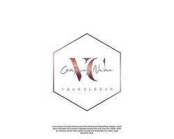 Initial letter VC Feminine logo beauty monogram and elegant logo design, handwriting logo of initial signature, wedding, fashion, floral and botanical with creative template vector