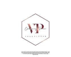 Initial letter VP Feminine logo beauty monogram and elegant logo design, handwriting logo of initial signature, wedding, fashion, floral and botanical with creative template vector