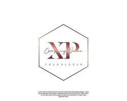 inicial letra xp femenino logo belleza monograma y elegante logo diseño, escritura logo de inicial firma, boda, moda, floral y botánico con creativo modelo vector