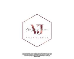 Initial letter VJ Feminine logo beauty monogram and elegant logo design, handwriting logo of initial signature, wedding, fashion, floral and botanical with creative template vector