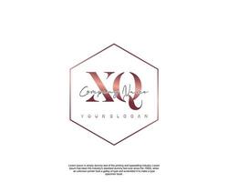 inicial letra xq femenino logo belleza monograma y elegante logo diseño, escritura logo de inicial firma, boda, moda, floral y botánico con creativo modelo vector